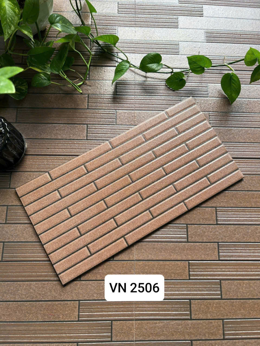 Việt Nhật VN 2506